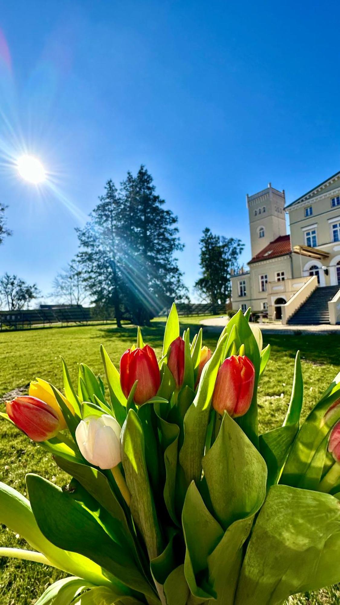 Hotel Spa Wieniawa Rekowo  Eksteriør bilde